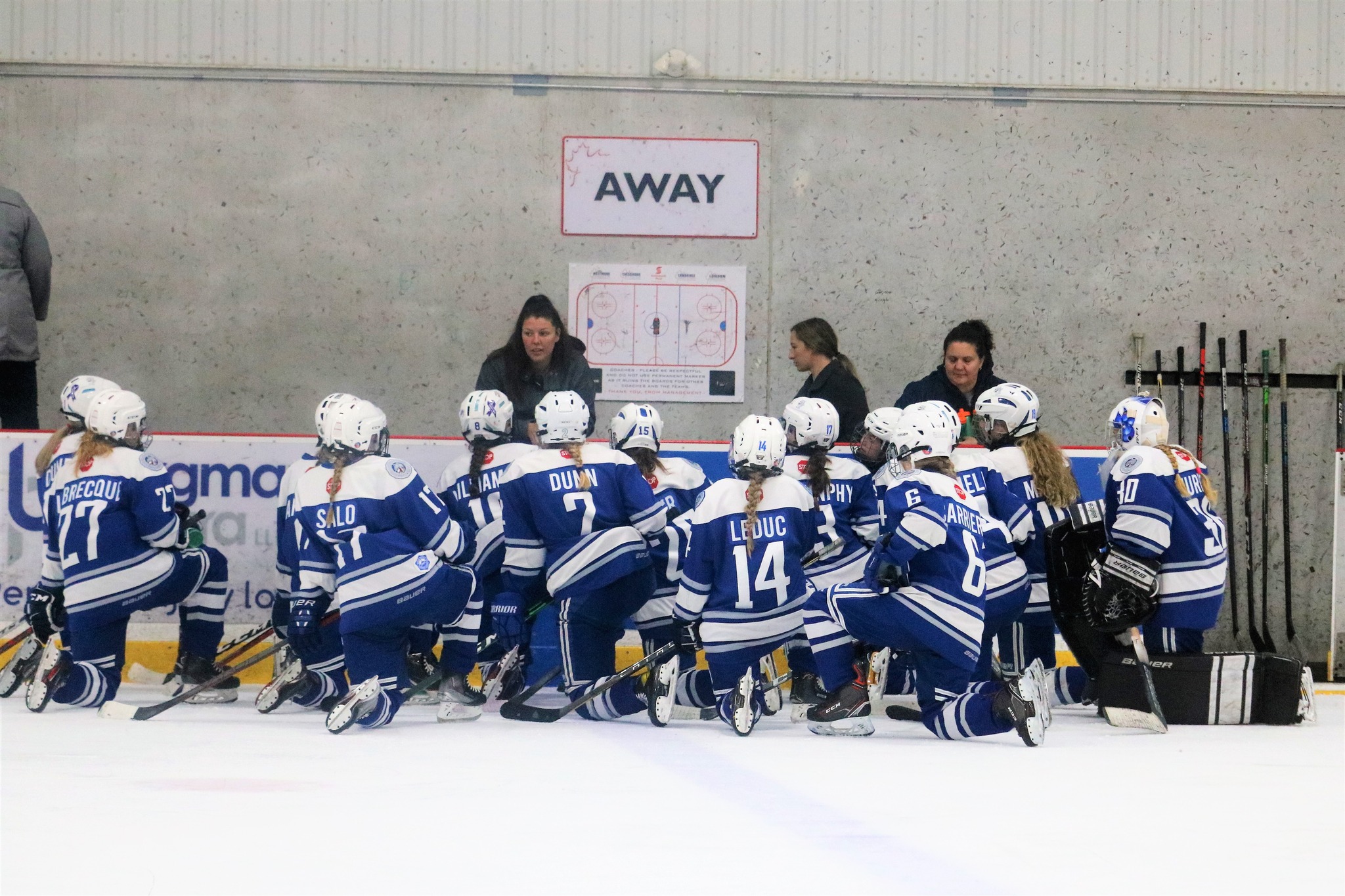Sudbury and District Girls Hockey Association Website by RAMP InterActive